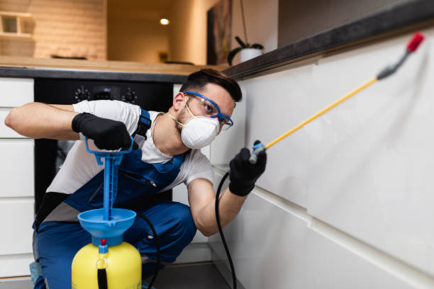 Best Best Pest Control Companies  in North Merrick, NY