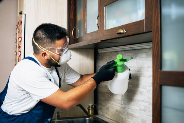 Best Mosquito Control Services  in North Merrick, NY