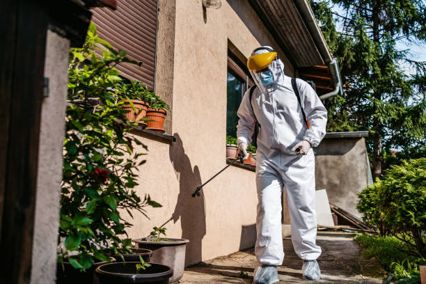 Best Termite Control Services  in North Merrick, NY