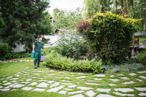 Best Ant Control Services  in North Merrick, NY
