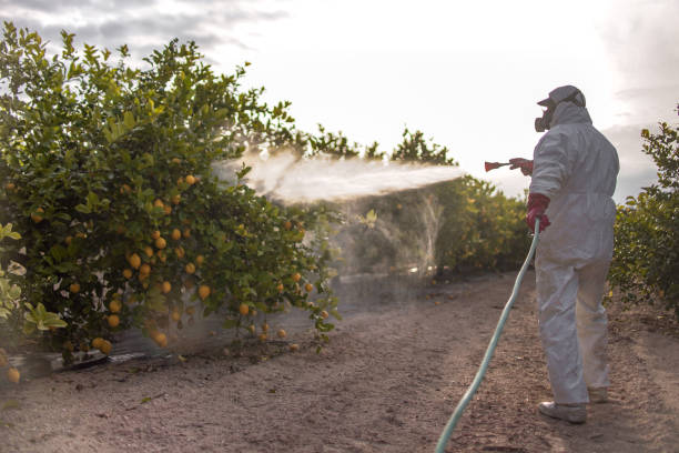 Best Exterminator Services  in North Merrick, NY