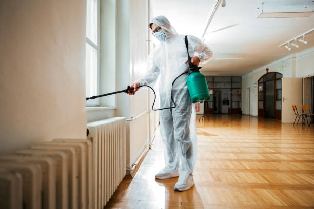 Best Bed Bug Extermination  in North Merrick, NY