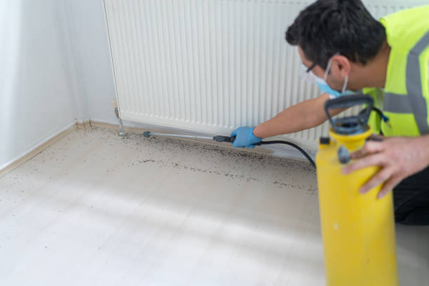 Best Mosquito Control Services  in North Merrick, NY