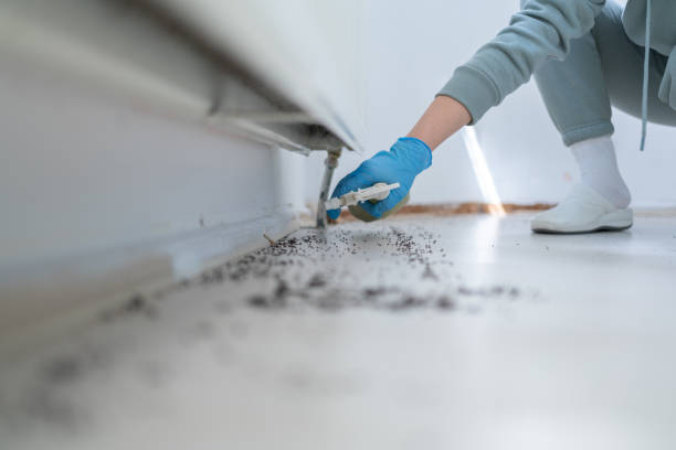 Best Emergency Pest Control  in North Merrick, NY